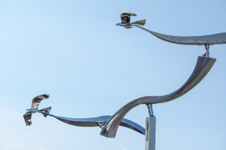 The graceful flight of two birds is captured in this stunningly elegant contemporary sculpture by Amos Robinson.