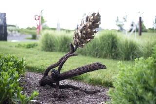 Floyd Elzinga’s beautiful pine cone sculptures emulate the organic shape, texture and form of the natural object.