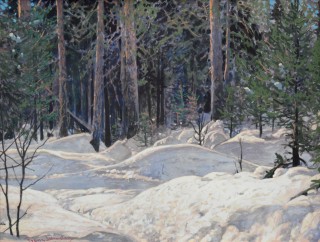 A foreground of snow dazzles in a warm, dramatic sunlight beneath a screen of pines this tempera painting on paper by Group of Seven member …