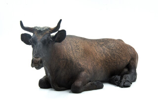 Jeanette is a table-top sculpture of a regal adult female cow sitting, legs tucked under her massive body.