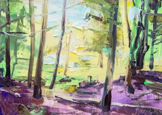 Julie Himel’s colourful abstract landscapes are expressions of her lifelong love and respect for the peace and beauty of nature.