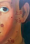 Nie Jian Bing incorporates Chinese characters in the skilled close up depiction of a 1545 oil painting 