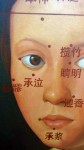 Nie Jian Bing incorporates Chinese characters in the skilled close up depiction of a 1545 oil painting 