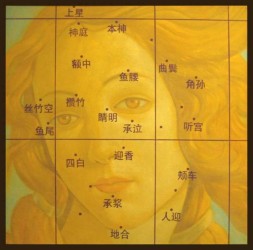 Nie Jian Bing incorporates Chinese characters in the skilled close up depiction of the face of the goddess from Botticelli's 1486 painting T…