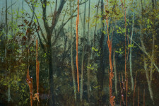 Dense spring forest with saplings in whites, reds and browns coalesce at the centre of the panel with foreground of concentrated vegetation. Image 3