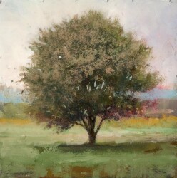 Native to many parts of Canada, the stately elm tree is captured here in an elegant tree ‘portrait’ by Peter Hoffer.