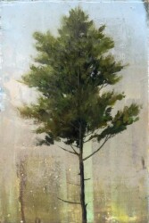 A lone cedar stands tall and proud in this nostalgic painting by Peter Hoffer.