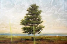 A lone, iconic tree stands against a vast, glowing sky in this large scale landscape painting by Peter Hoffer. Image 2