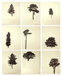 Der Wald or The Forest consists of nine wood block prints in a single portfolio.