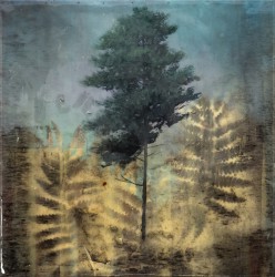 A tall tree with lopsided leafy top and lower branches missing is framed by black and gold silhouettes of fern fronds and a sky of mauve and…