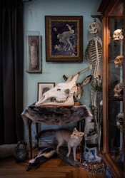 A good friend of the artist’s fascinating and prized collection--human and animal bones, taxidermy, ostrich feathers and a child’s figurines…