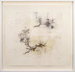 Toronto-based artist Susan Collett studied printmaking and ceramics at the Cleveland Institute of Art.