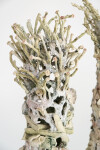 Susan Collett’s exquisite ceramics are hand-built from earthenware paper clay. Image 2