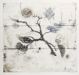 The delicate imagery of this monoprint, a reflection of the natural world, was carved into stitched copper sheeting using a drypoint needle.