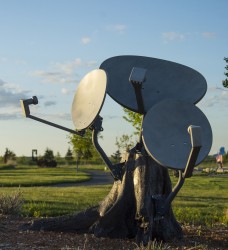 A wood tree stump cast in bronze onto which are attached three satellite dishes replicated in aluminum speaks to hierarchical systems of val…