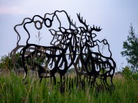 The majesty of woodland animals is celebrated in these striking metal sculptures by the Six Nations Mohawk artist Adam Monture. Image 6