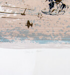 In a symphony of colour and form, Alice Teichert created more than 40 black ink and acrylic drawings on mylar, which she transferred to silk… Image 5