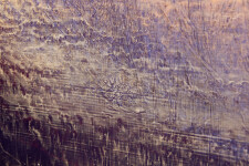 This luminous contemporary abstract painting is by Alice Teichert. Image 15