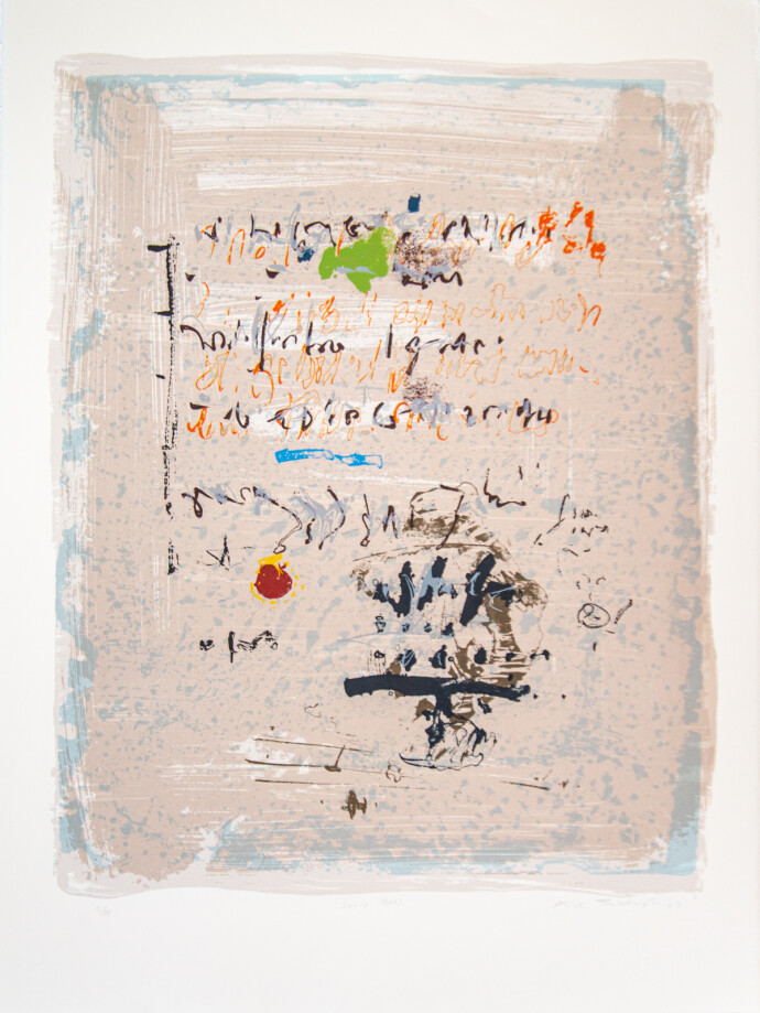 In a symphony of colour and form, Alice Teichert created more than 40 black ink and acrylic drawings on mylar, which she transferred to silk…