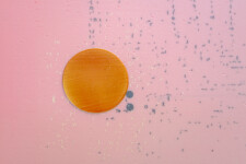 This contemporary abstract painting by Alice Teichert shines like the sun. Image 10