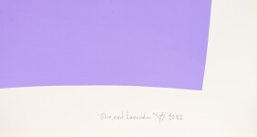 Blue and Lavender Image 9
