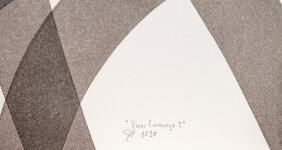 River Crossing 3 Image 11