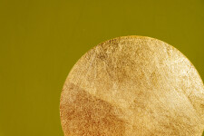 Olive and Gold Image 5