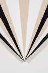 Fan 2132313132312 Image 5