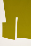 Olive and Gold Image 6