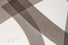 River Crossing 2 Image 11