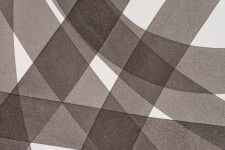 River Crossing 2 Image 6