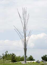 Quebec sculptor Bernard Hamel often looks to nature as a source of inspiration for his contemporary sculptures.