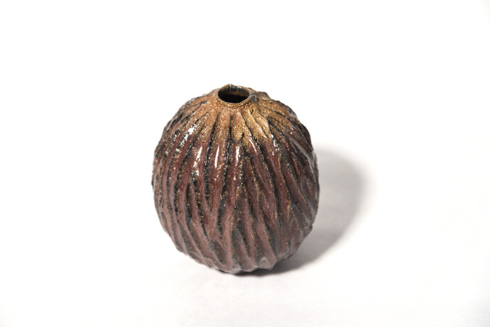 Haptic Series Pod No 43