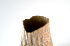 This unique tall ceramic vessel is handmade. Image 6