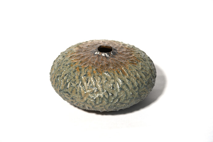 Haptic Series Pod No 44