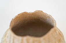 Haptic Series Ochre and Taupe No.2 Image 5