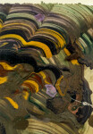 This abstract expressionist painting is by Carol Sutton. Image 4