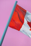 Pink Flag 2012 Image 8