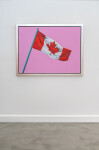 Pink Flag 2012 Image 2