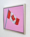 Pink Flag 2012 Image 4