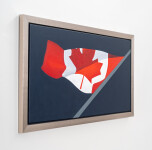 Flag Wave 2010 Image 3