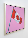 Pink Flag 2012 Image 3