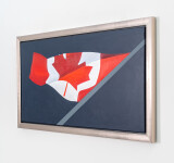 Flag Wave 2010 Image 4