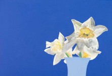 Daffodils Image 5