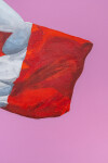 Pink Flag 2012 Image 6