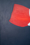 Flag Wave 2010 Image 7