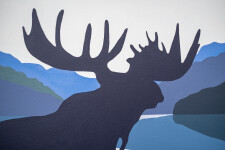 The Canadian moose—majestic and proud is one of several images made famous by Charles Pachter. Image 6