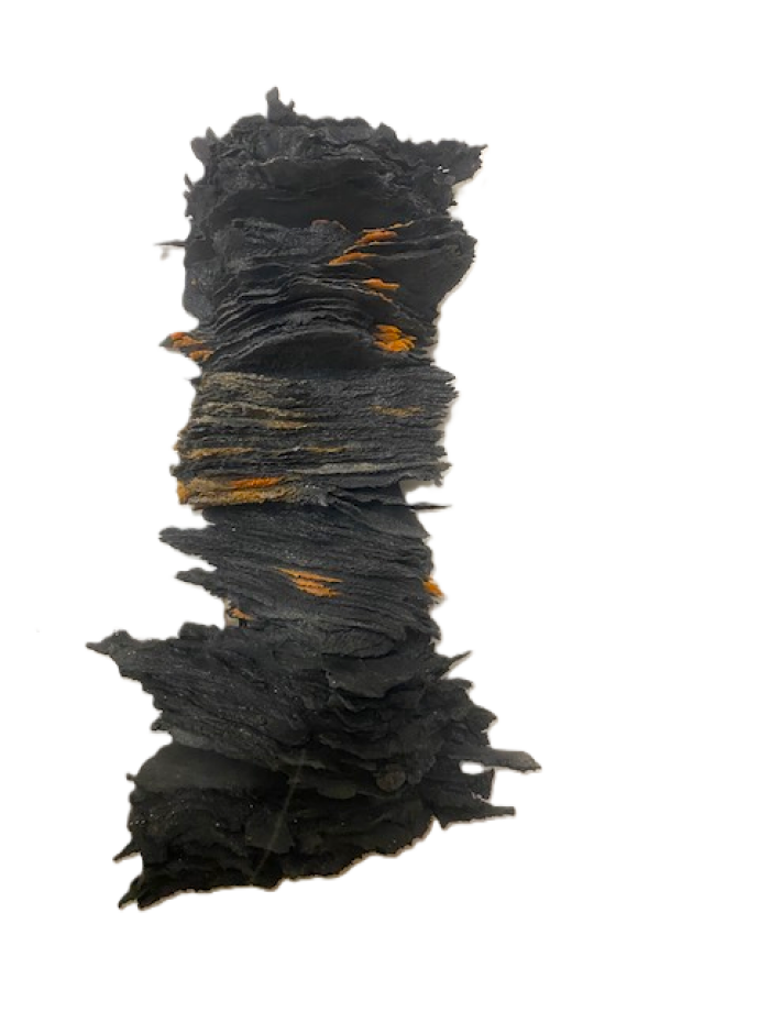 Outcrop 14 (Black & Orange)