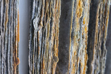 This contemporary glass wall sculpture is inspired by nature. Image 6