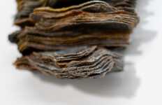 This contemporary glass wall sculpture by Cheryl Wilson Smith has an earthy colour palette. Image 9